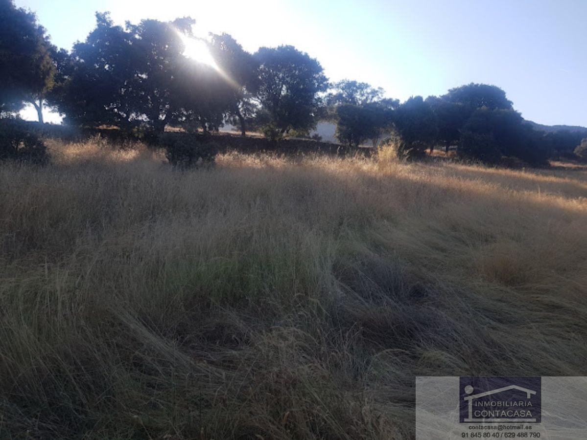 For sale of land in Colmenar Viejo