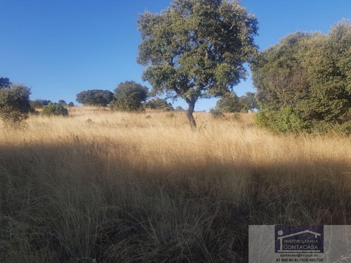 For sale of rural property in Colmenar Viejo
