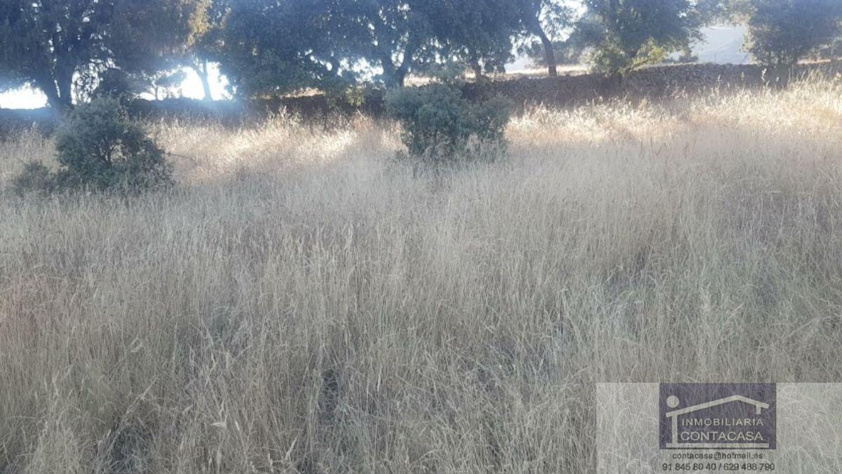 For sale of rural property in Colmenar Viejo