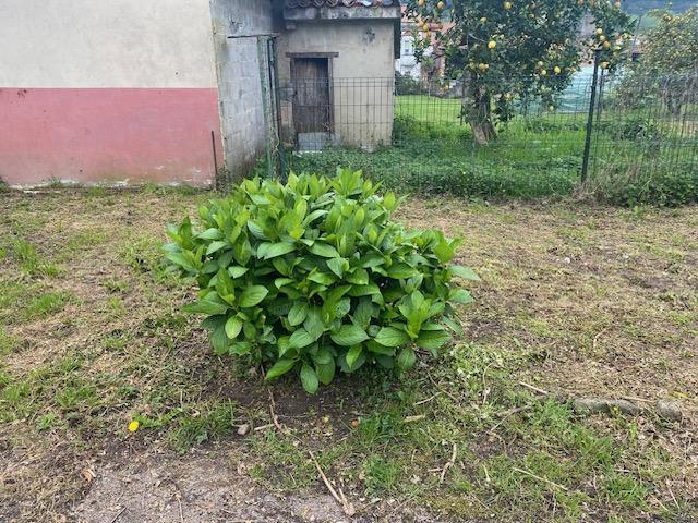Ground