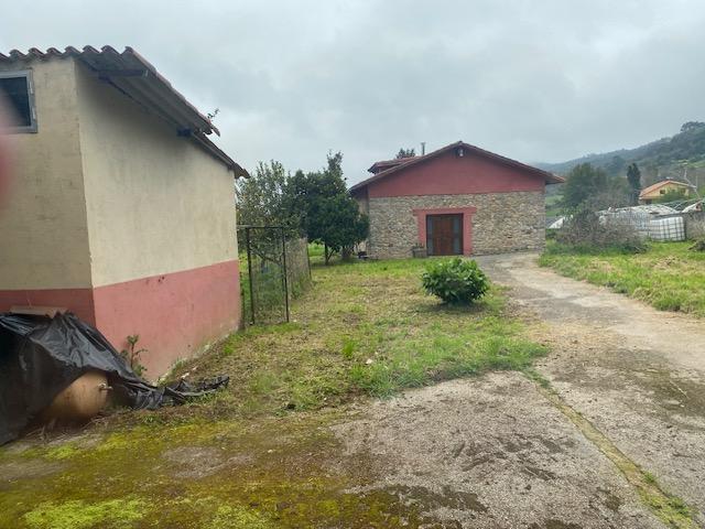 Ground