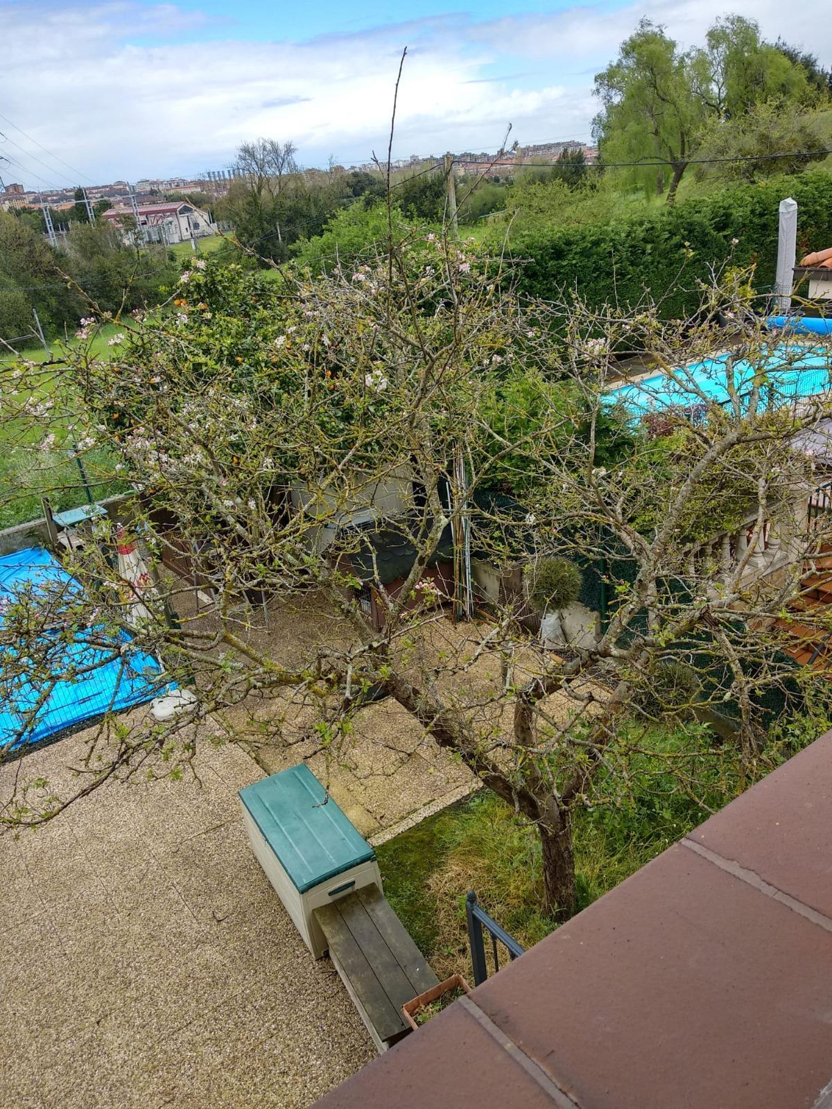 For sale of house in Gijón