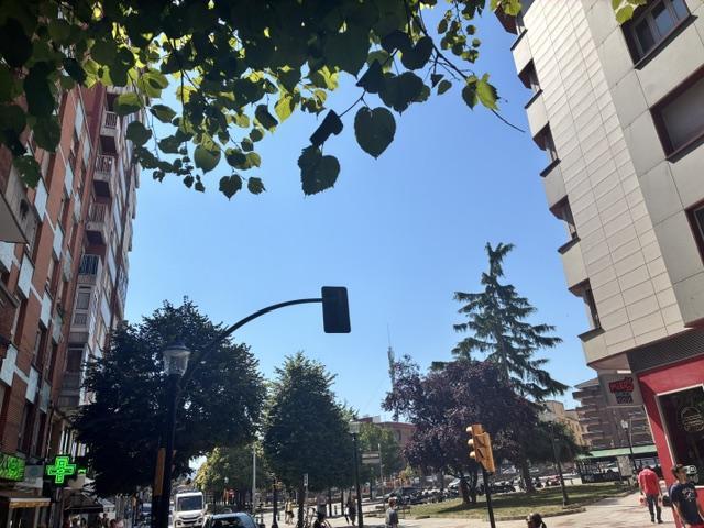 Alrededores