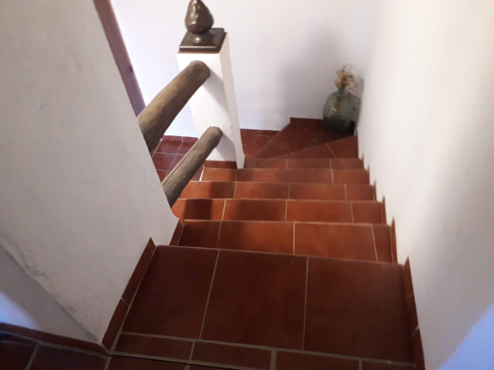 Venta de finca rústica en Jubrique