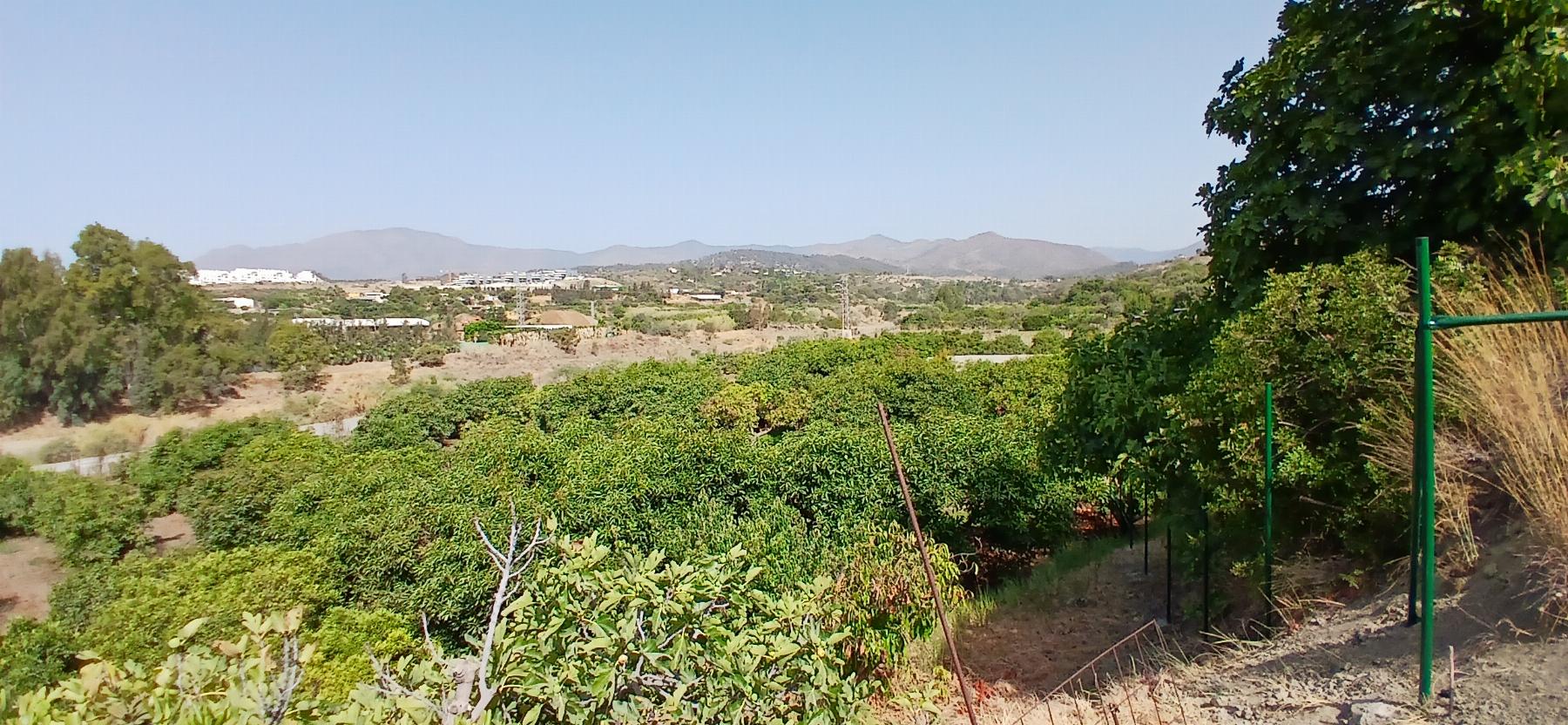 Vente de terrain dans Estepona