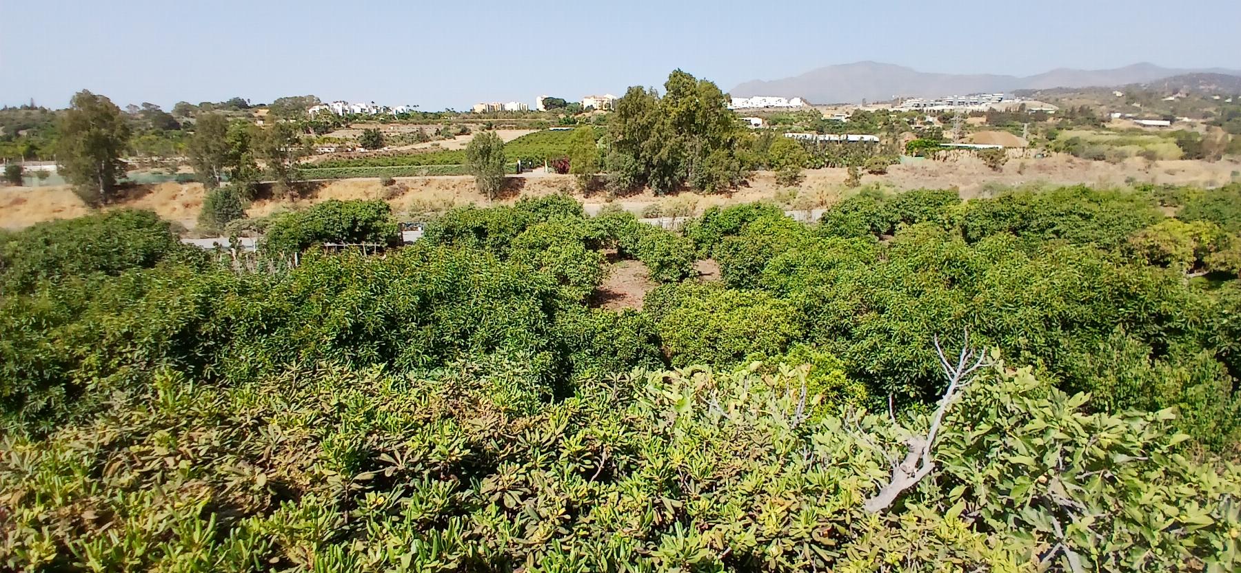 Vente de terrain dans Estepona