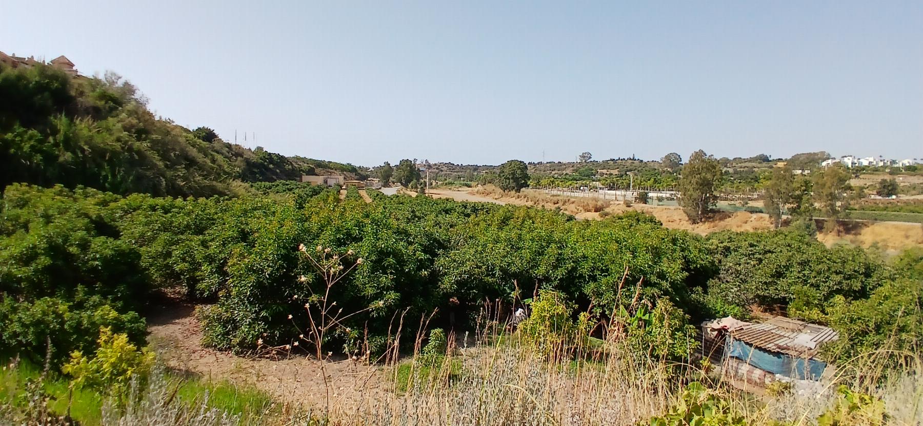 Vente de terrain dans Estepona