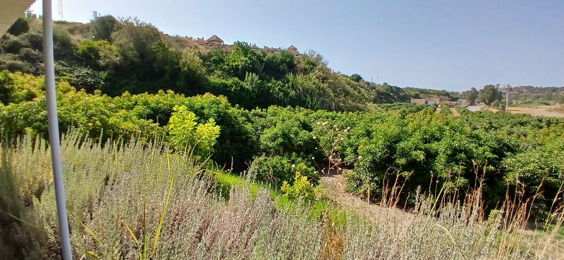 Vente de terrain dans Estepona