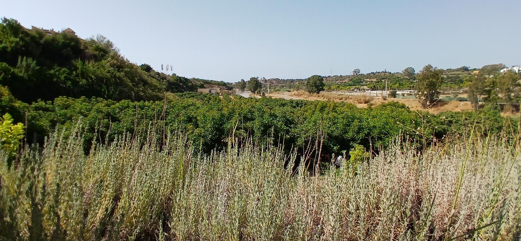 Vente de terrain dans Estepona