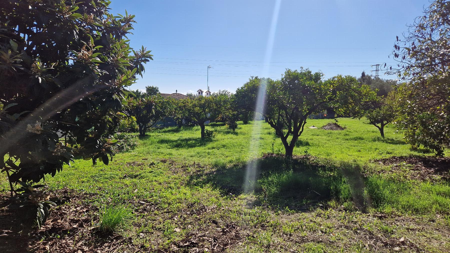 Sprzedaż z nieruchomość rustykalna w Estepona