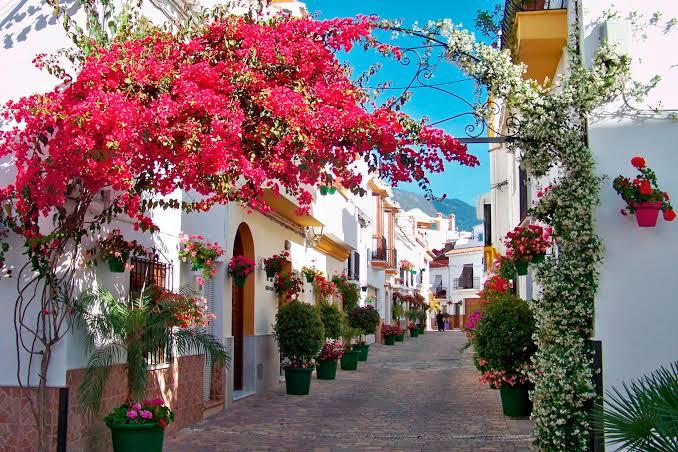 Alrededores