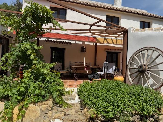Venta de finca rústica en Casares
