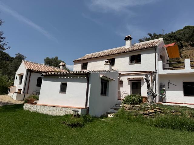Venta de finca rústica en Casares