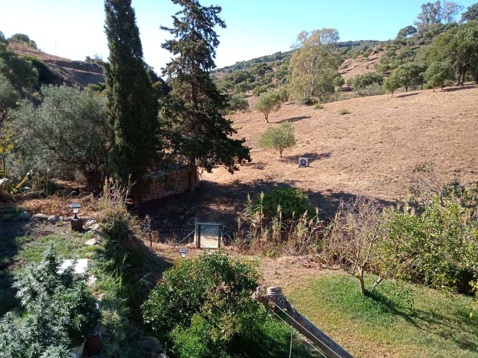 Venta de finca rústica en Casares