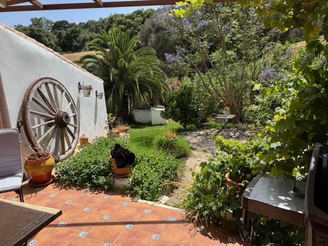Venta de finca rústica en Casares
