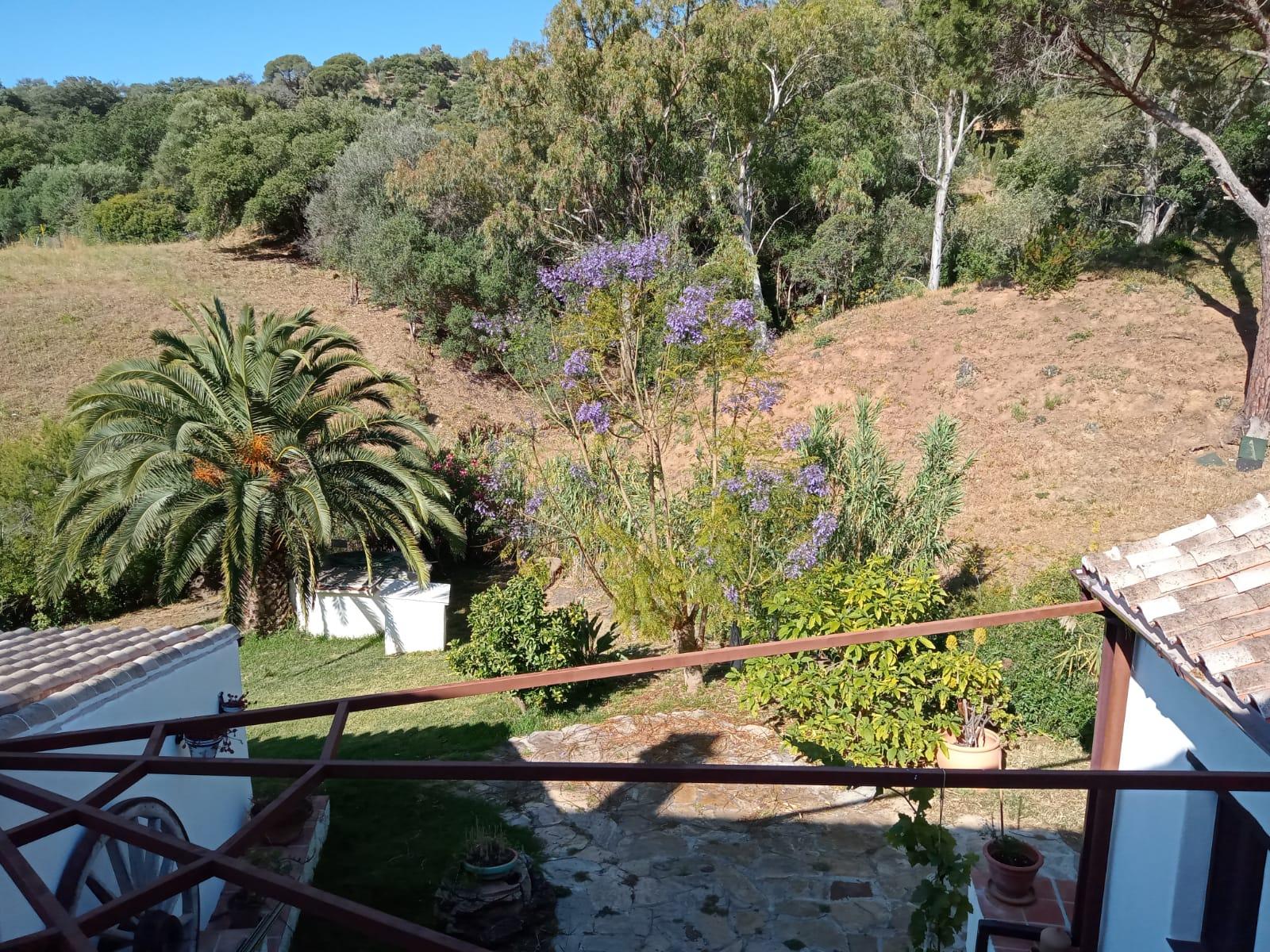 Venta de finca rústica en Casares