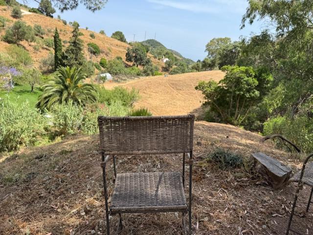 Venta de finca rústica en Casares