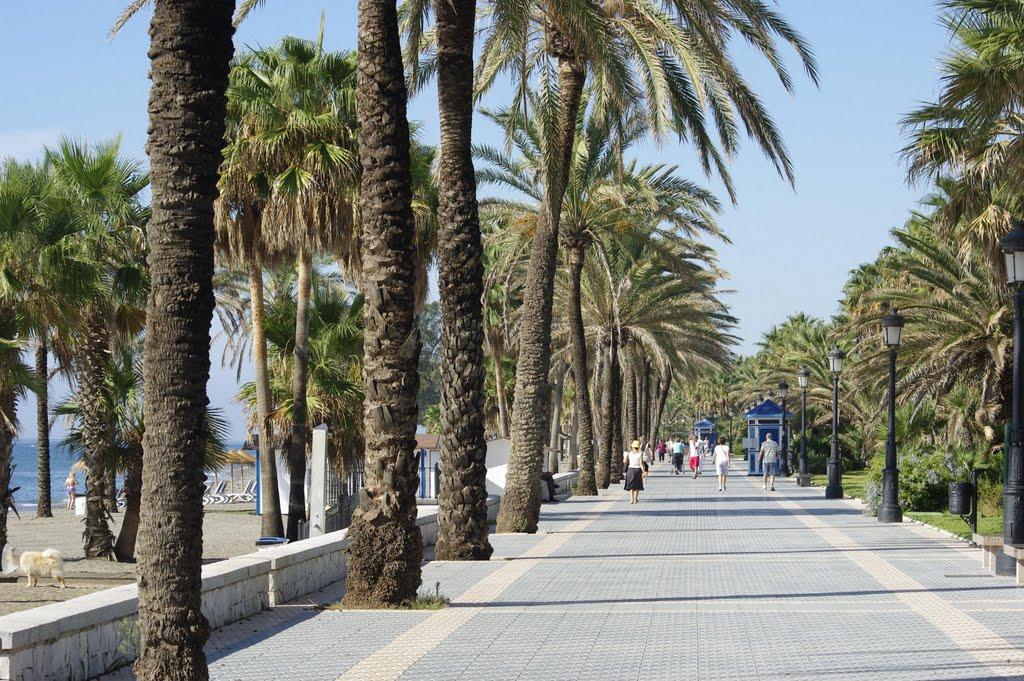 Venta de piso en San Pedro de Alcántara