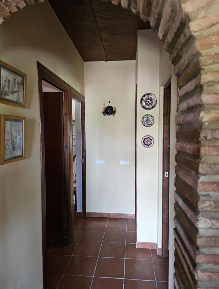 Venta de finca rústica en Estepona