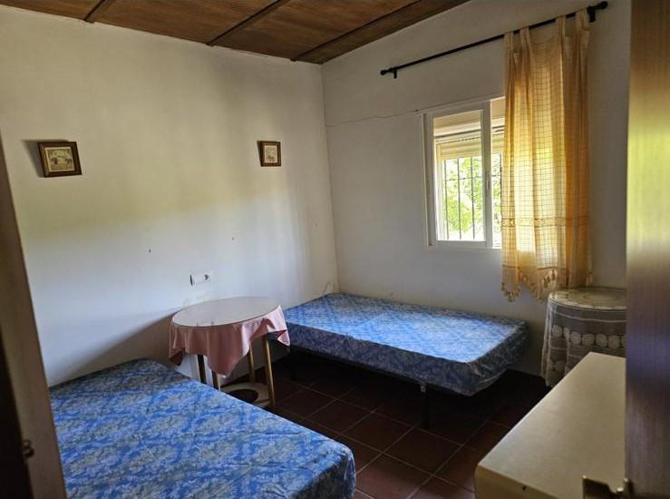 Venta de finca rústica en Estepona