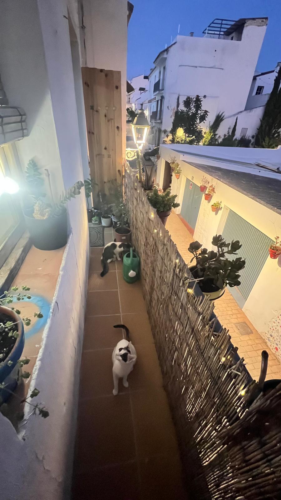 Venta de piso en Estepona