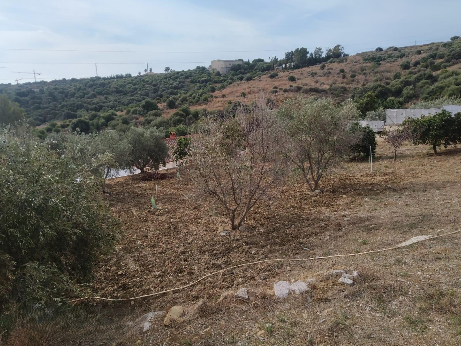 For sale of land in Estepona