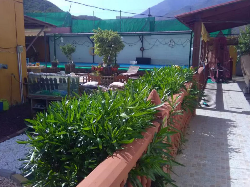 Venta de finca rústica en Estepona