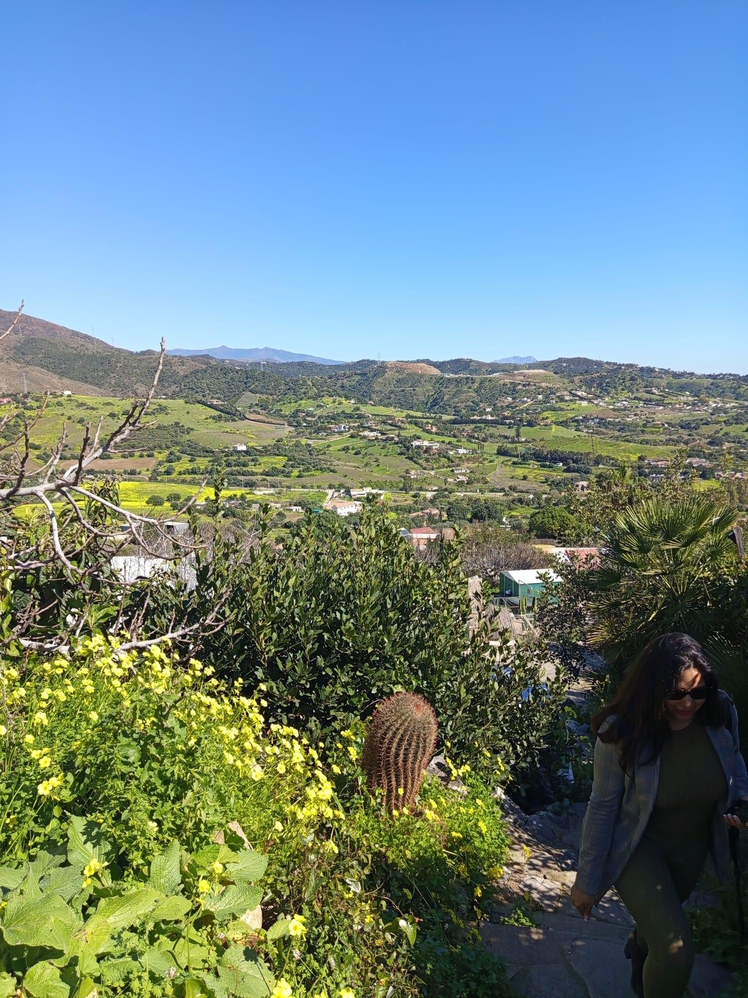 Venta de finca rústica en Estepona