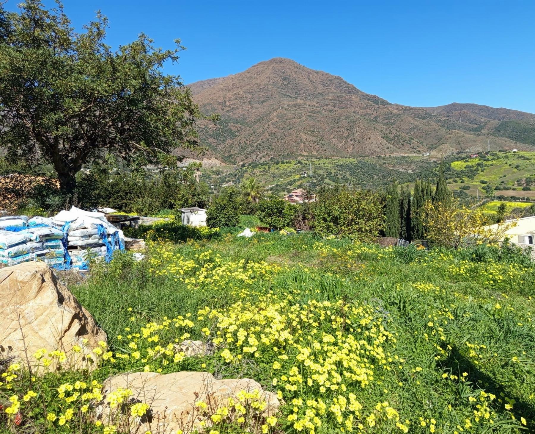 Venta de finca rústica en Estepona