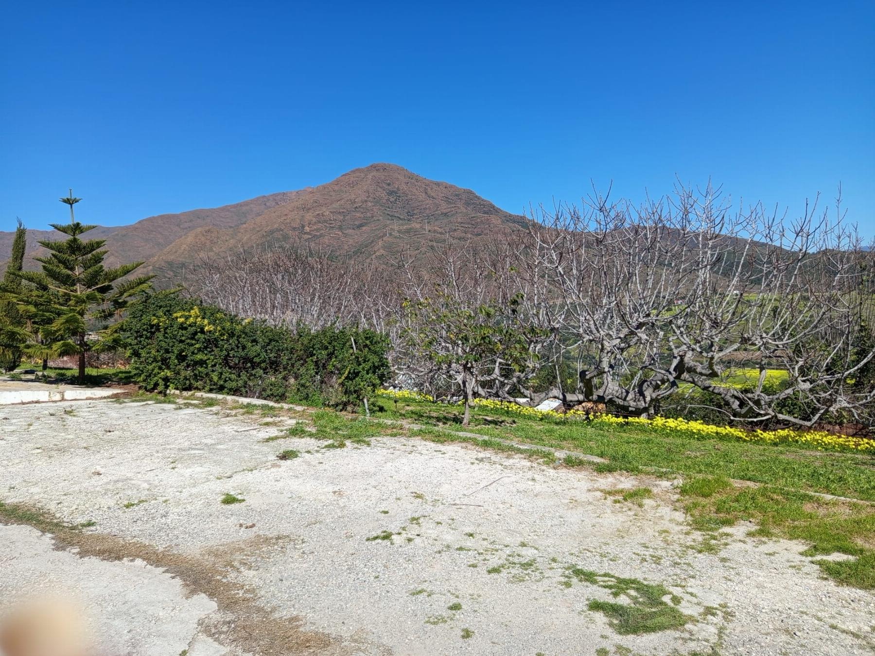 Venta de finca rústica en Estepona