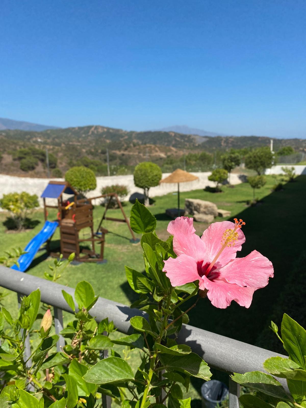 Venta de apartamento en Estepona