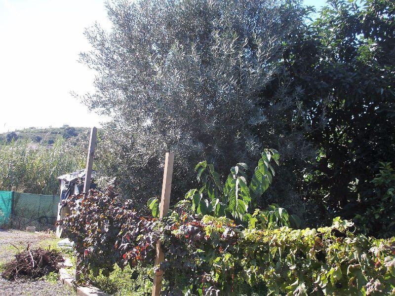 Zu verkaufen von grundstück in
 Estepona