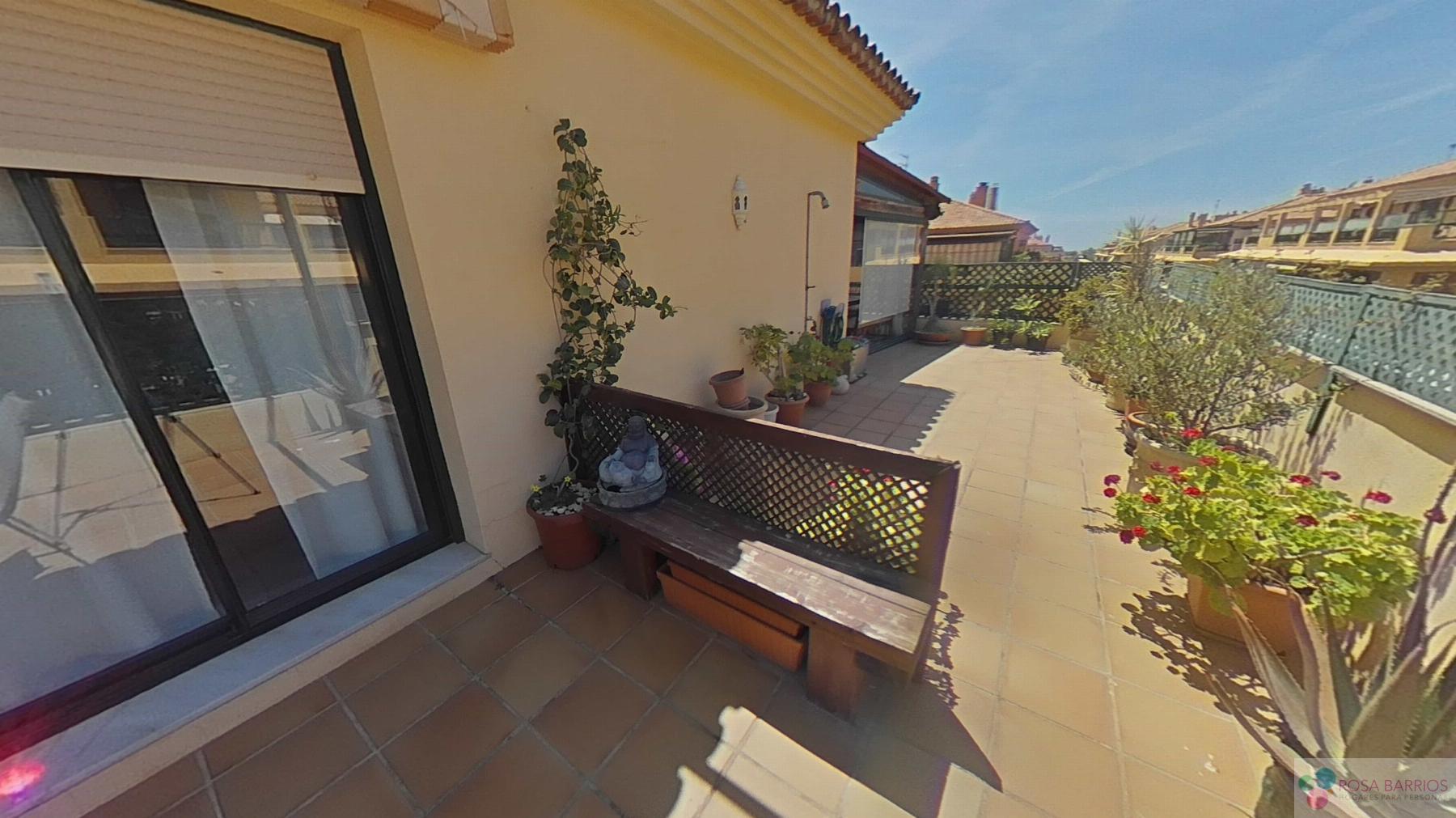 For sale of penthouse in San Pedro de Alcántara