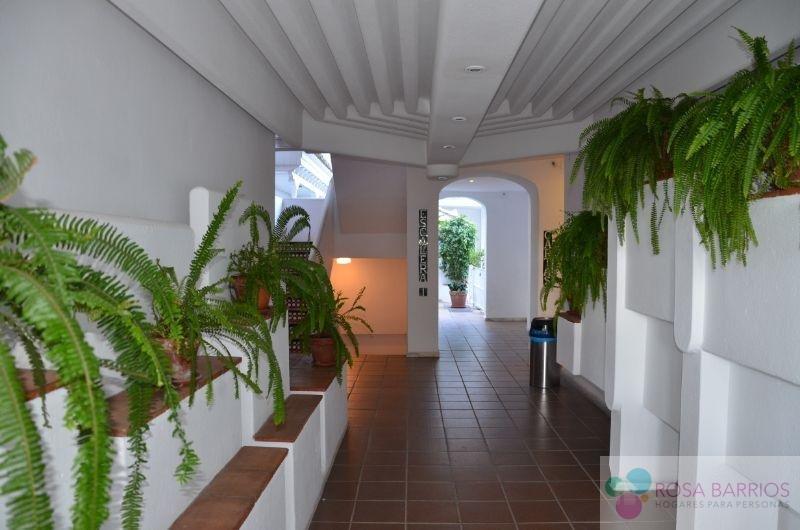 For sale of office in Puerto Banús