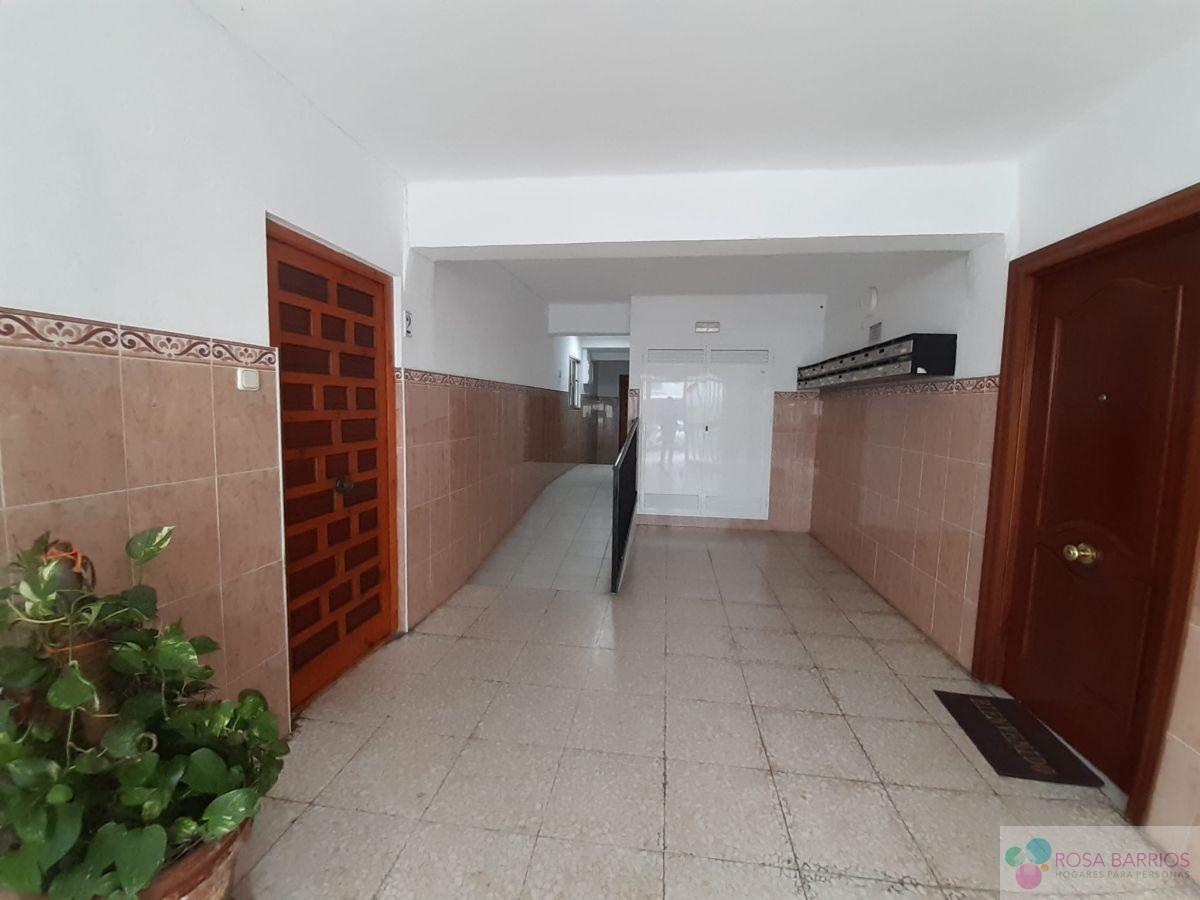 Rosa Barrios Pisos San Pedro Alcantara y Casas Málaga San Pedro Alcantara