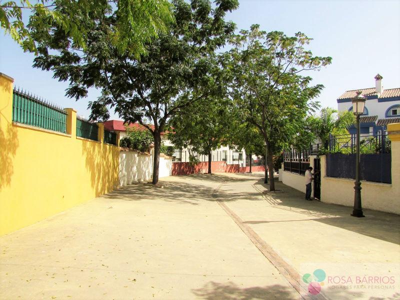 For sale of house in San Pedro de Alcántara