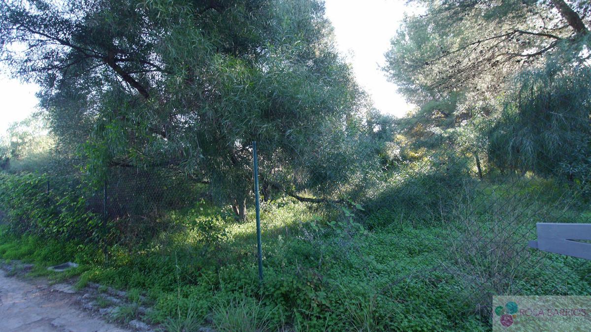 Venta de terreno en Marbella