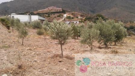 For sale of land in Estepona