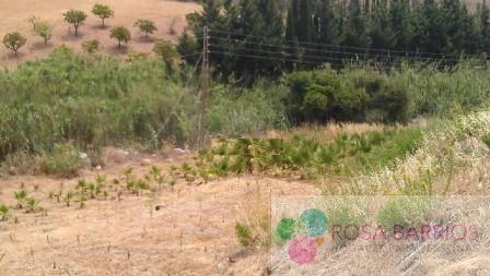 For sale of land in Estepona