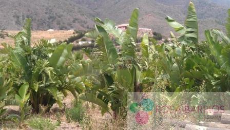 For sale of land in Estepona