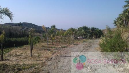 For sale of land in Estepona