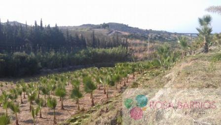 For sale of land in Estepona