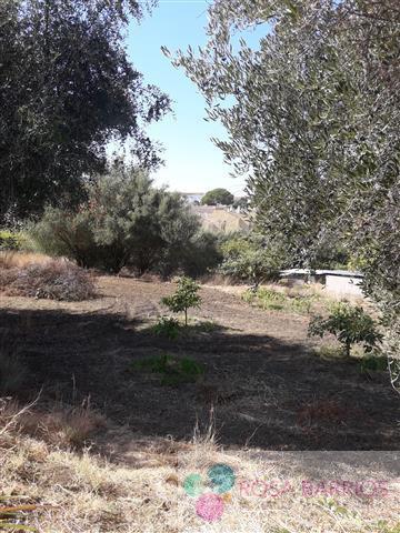 For sale of villa in Estepona
