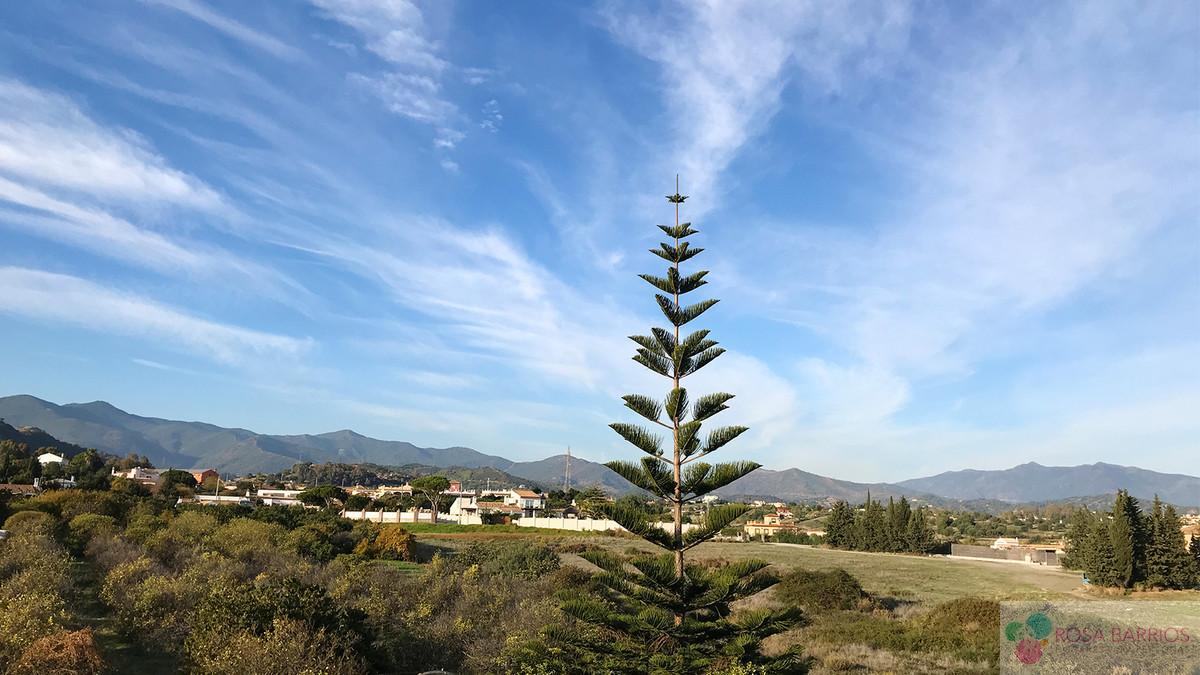 For sale of villa in Estepona