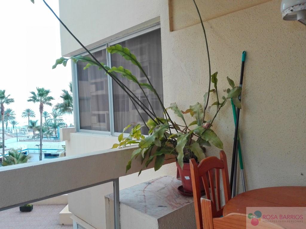 For sale of study in Marbella