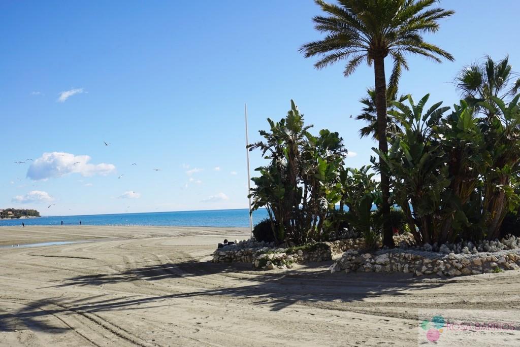 Zu verkaufen von appartement in
 Estepona