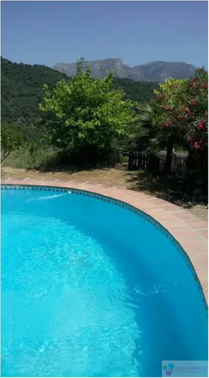 For sale of commercial in Marbella