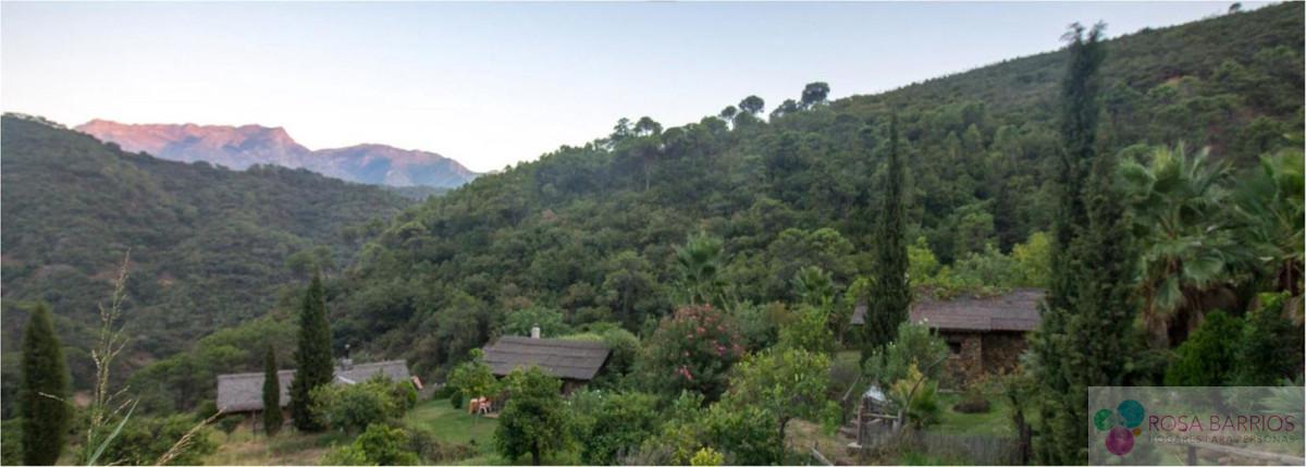 For sale of commercial in Marbella