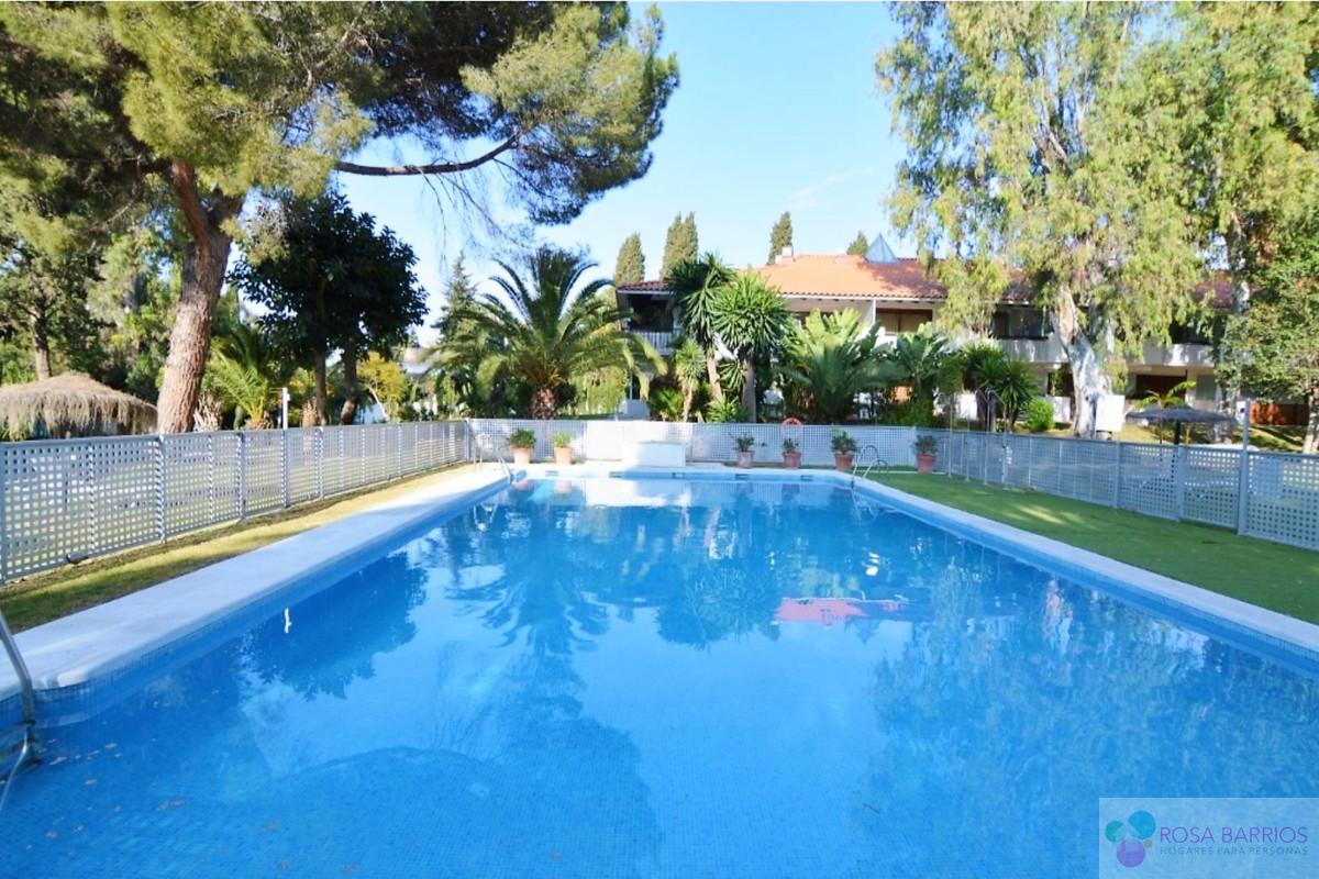 For sale of study in Nueva Andalucía
