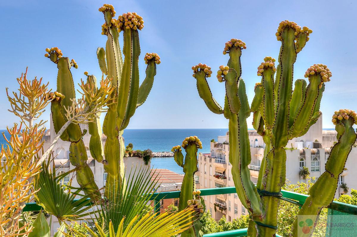 For sale of penthouse in Marbella